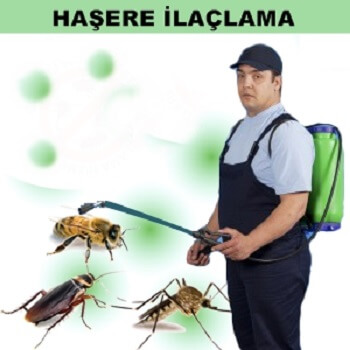 Erenler Böcek İlaçlama